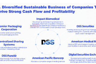 DSS Inc. (NYSE: DSS) Due Diligence and H2 2023 Forecast