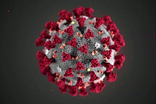 The Coronavirus — Did the Government React Properly Enough?