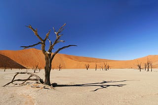 Les arguments secrets que nous utilisons pour nous rassurer sur le réchauffement climatique (et…