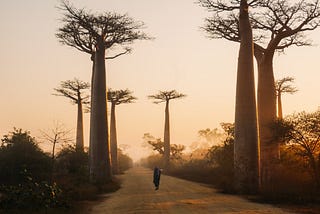 Madagascar’s Famine Is a Warning. It’s Time We Heed It.