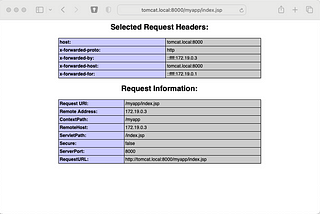 Tomcat behind a Reverse-Proxy