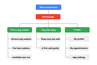 Designing the Information Architecture