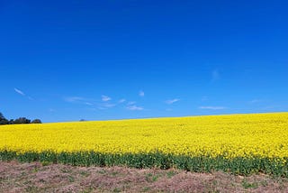 Why Migrating to Snowflake Is More Than Just Moving Data