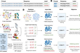 ProteinDPO: A Novel Technique for Aligning Generative Protein Models with Experimental Fitness