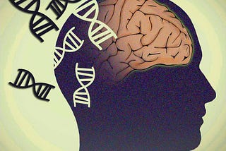 The COMT Gene and Its Impact on Mental Health