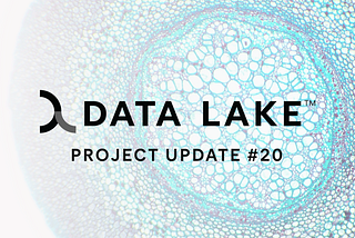 Project Update #20 — Q2 2024
