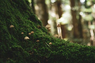 Impact measurement in systemic investing: building dialogue and collaboration across sectors and…