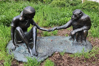A bronze statue depicts Jane Goodall and chimpanzee David Greybeard reaching their hands out towards one another.