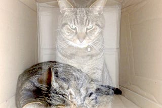 A Summary of Quantum Interpretations