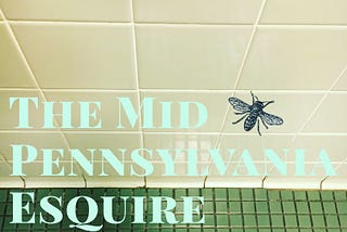 The Mid Pennsylvania Esquire