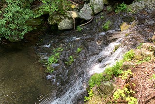 Earth & Us: Celebrating Clean Water