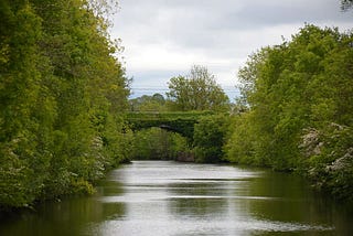 With nitrogen levels increasing in rivers, what will it mean for our fishing?