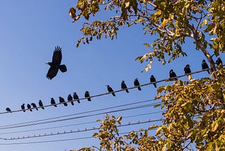 Reading as a form of speed up growth