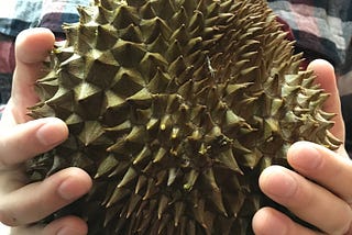 Durian: A Spiked Ball full of Sweet Pudding