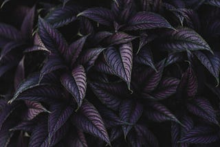 From good to great: A capability framework for building exceptional product engineering teams