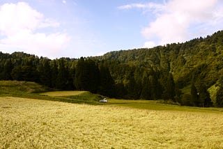 一場孤獨的藝術祭，被山環繞的越後妻有