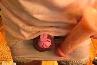 Exploring the Unique Charm of Sissy Chastity Cages: A Journey of Brave Self-Expression