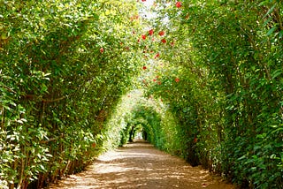 A day at the 10-day Vipassana meditation retreat in Sri Lanka