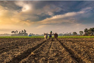 250 million farmers in India are taking a stand against the government as part of the biggest…