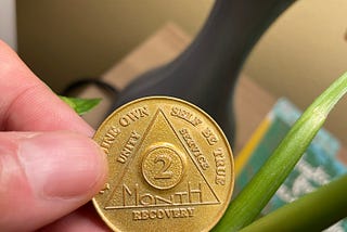 An Alcoholics Anonymous golden 2-month chip held next to a houseplant