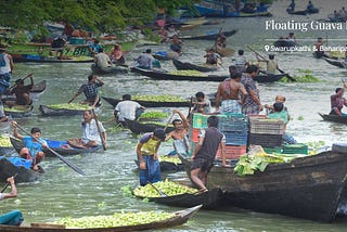 Floating Guava Market নিয়ে সাংবাদিক তুহিন সারোয়ারে একটি প্রতিবেদনের ছবি,পুরো বাংলাদেশের সৌন্দর্য, সংস্কৃতি, নদী ও নদীভিত্তিক জীবন, প্রাকৃতিক দৃশ্য, ঐতিহ্য, ও পর্যটন সম্ভাবনা তুলে ধরবে। পাঠক যেন পড়ে বাংলাদেশ ভ্রমণ করতে আগ্রহী হয়ে ওঠে।