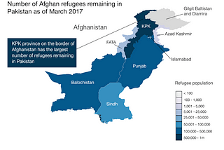 Coming Home to a Foreign Land: The Repatriation of Afghan Refugees