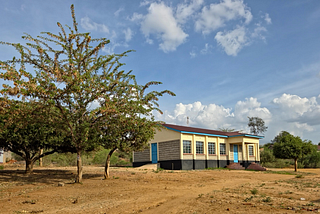 Kenya’s Legislative Path to Public Participation: Lessons from Kitui and the 3P4D Initiative
