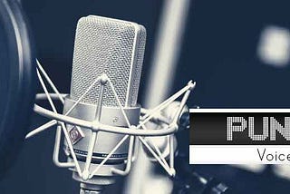 Professional Punjabi Voice Over Artists in India