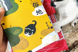 与草稿阅读 / 看不见的锡城