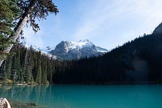 Humanity is Drying from the Inside Out