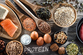 How Protein Builds New Muscle?