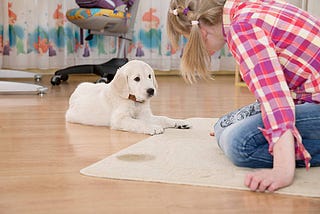 Baking Soda on Carpet