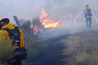 High Park Wildfire — Video Recollections