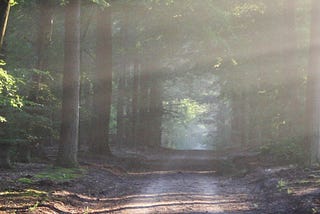 Creating your campaign plan