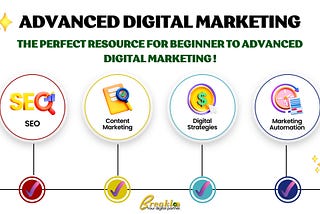 Advanced Digital Marketing Article+PDF’s​