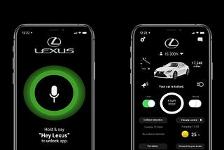 Lexus — case study