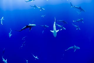 Eleições daqui pra frente: o mar não está para peixe