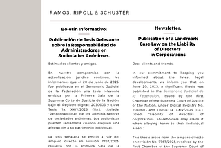 RRS Newsletter: Publication of a Landmark Case Law on the Liability of Directors in Corporations.