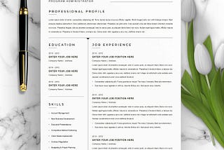 Programmer Administrator Resume 2023