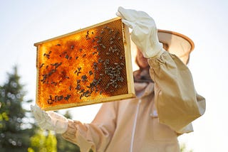 Everything You Need to Know About Apiaries
