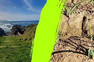 ‘Acting as Nature Does’? …why we need a radical HOW-Shift