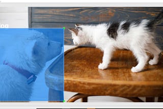 Unleashing the Power of Label Studio: Mastering Annotations for Deep Learning Projects … Like a Pro!