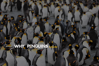 Why Penguins?