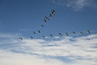 Co-Founder Feuds, Arguments, and Disputes > Getting to an outcome.