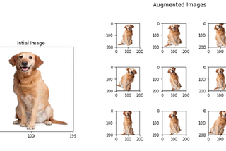 Image Data Augmentation- Image Processing In TensorFlow- Part 2