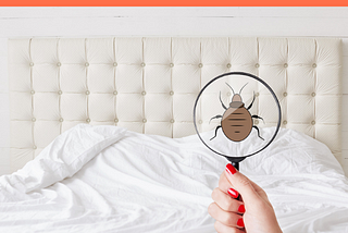 What are the Tips for Keeping Bedbugs out of your Home?