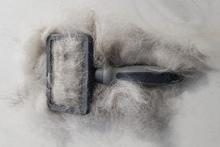 A dog brush lying in a pile of dog fur