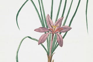 Loving Someone’s Potential Is How We Lose Ourselves