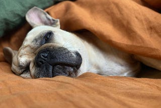 The Path to Laziness