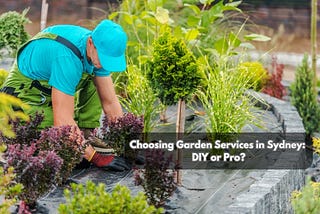 Choosing Garden Services in Sydney: DIY or Pro?